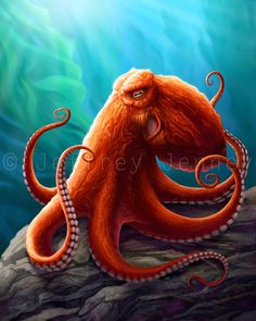 236x295 Sea Witch Justin O'Neal 8. Sea Witch, Octopus - Giant Octopus Painting