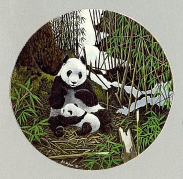 366x358 Giant Panda - Giant Panda Painting