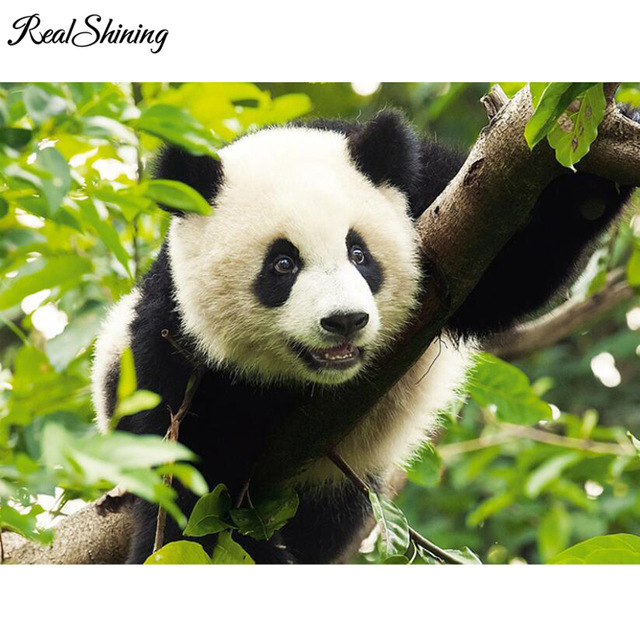 640x640 Realshining 5d Diy Full Square Diamond Painting Mosaic Giant Panda - Giant Panda Painting