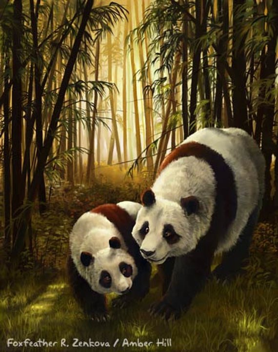 570x722 Walk In The Light Giant Panda Painting Print Panda Cub - Giant Panda Painting