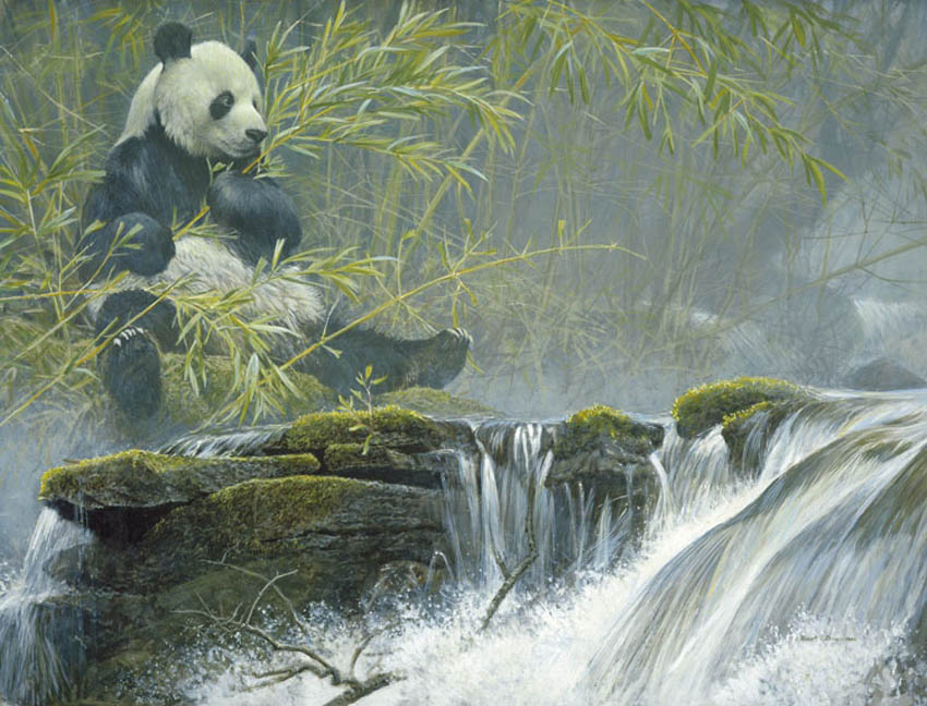 850x648 Art Country Canada Robert Bateman Giant Panda Bear Offset Limited - Giant Panda Painting