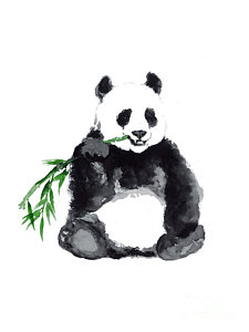 225x300 Giant Panda Minimalist Painting Painting By Joanna Szmerdt - Giant Panda Painting