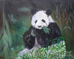 300x241 Giant Panda Paintings - Giant Panda Painting