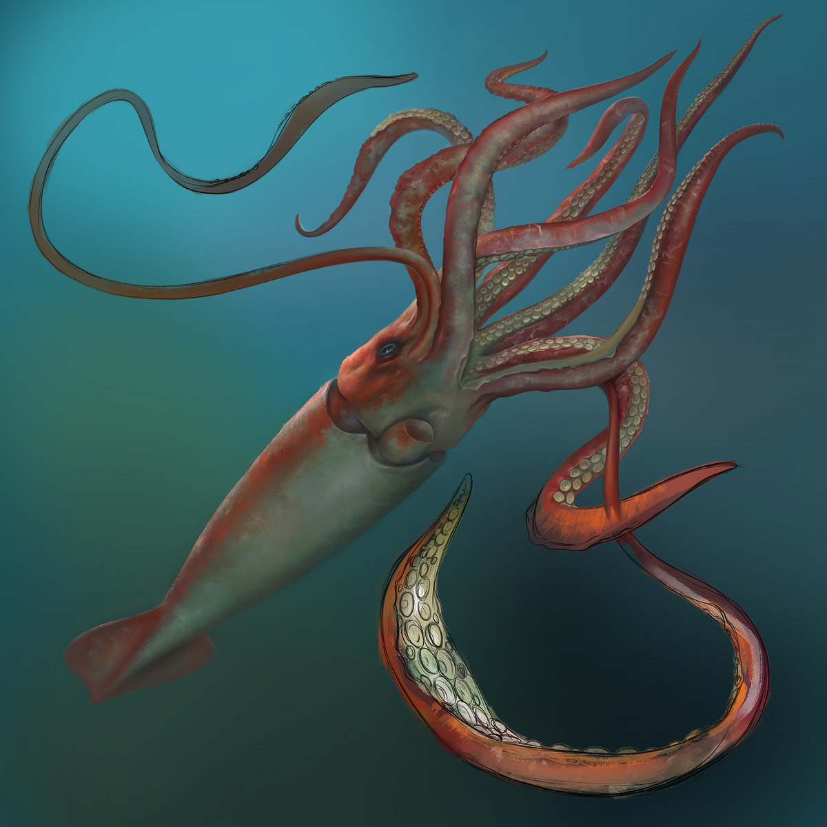 1200x1200 Giant Squid - Giant Squid Painting