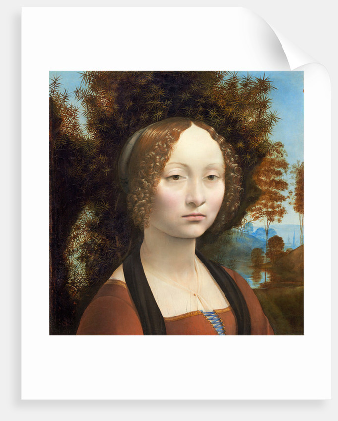 682x850 Ginevra De' Benci Posters Amp Prints By Leonardo Da Vinci - Ginevra De Benci Painting