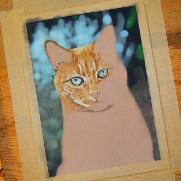 600x600 Ginger Cat Portraits In Pastel From Art By Karie Ann - Ginger Cat Painting