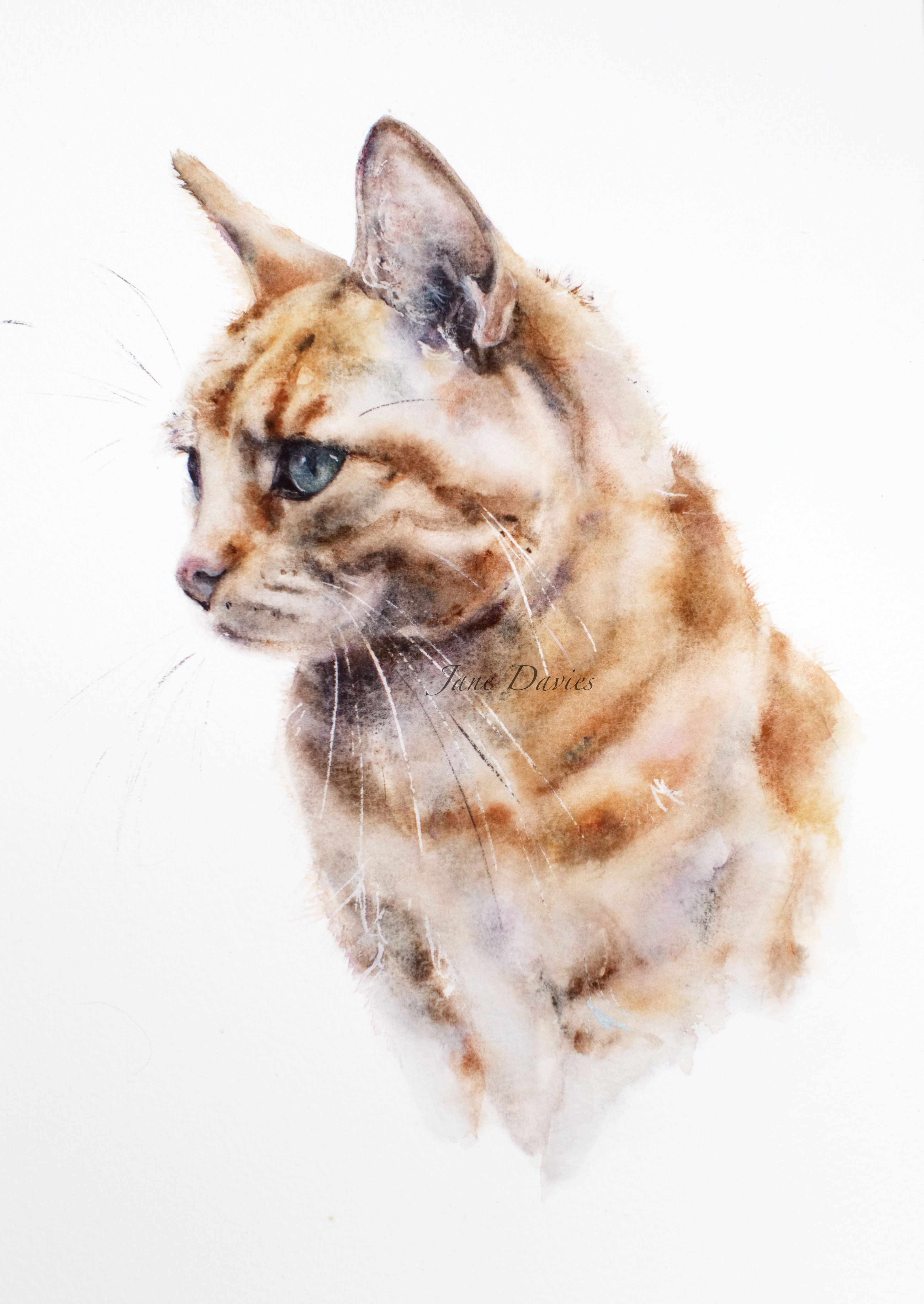 3522x4969 Pet Portrait Of A Ginger Cat, Painted By Watercolour Artist Jane - Ginger Cat Painting