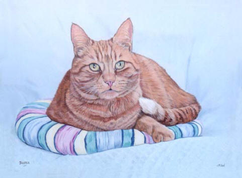 481x354 Signed Cat Prints - Ginger Cat Painting