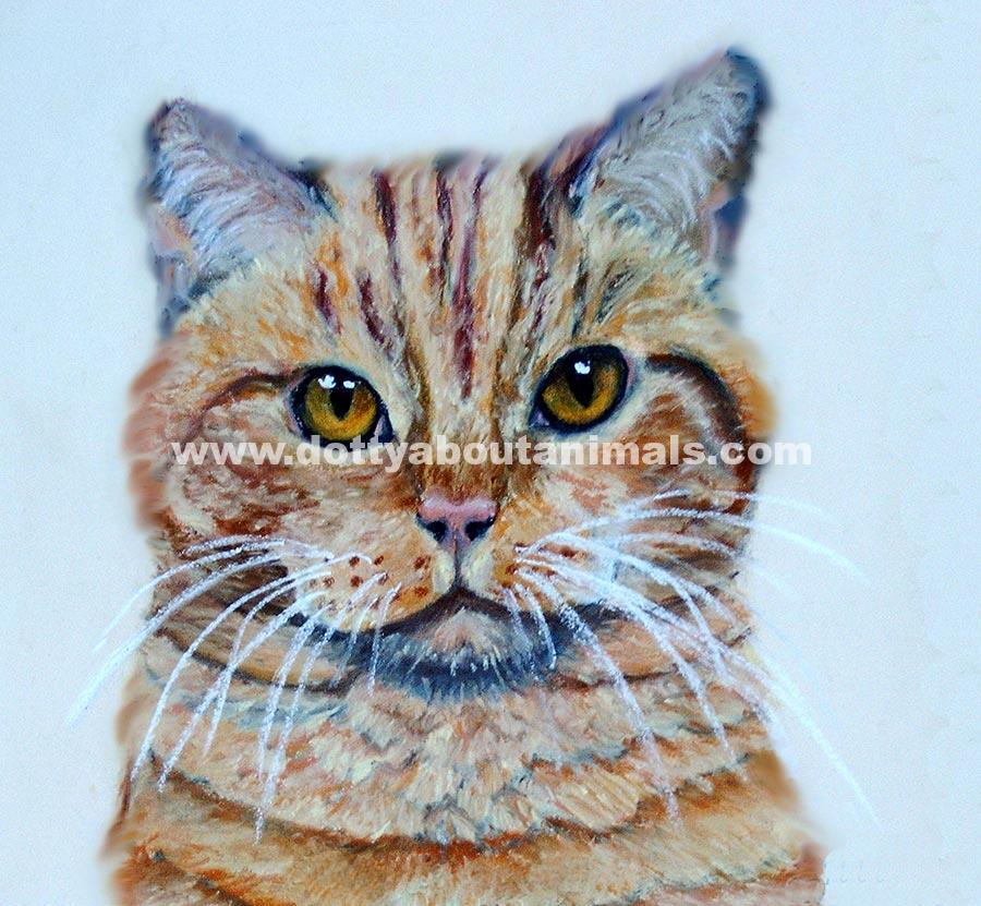 900x831 Ginger Cat Painting Fridge Magnet Dotty About Animals - Ginger Cat Painting