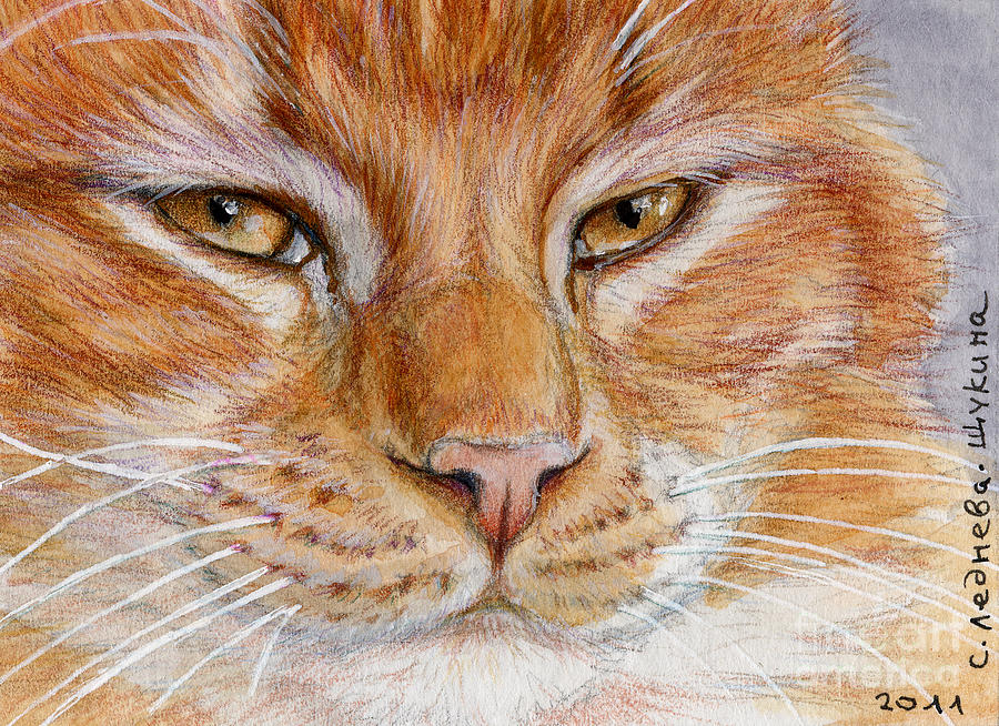 900x654 Ginger Cat Painting By Svetlana Ledneva Schukina - Ginger Cat Painting