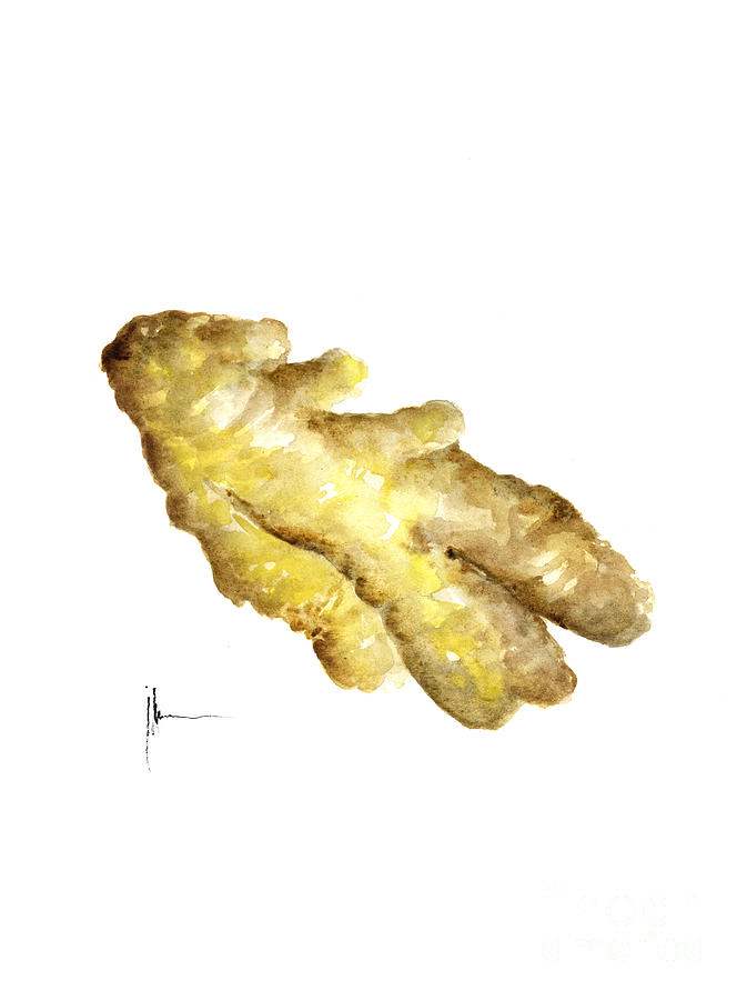 673x900 Ginger Painting Art Print Watercolor Painting Painting By Joanna - Ginger Painting