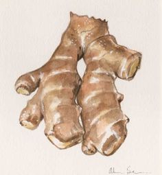 236x255 Paint - Ginger Painting