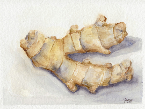 600x452 Art Ginger Still Life Amanda Makepeace's Imagination Run Amok - Ginger Painting