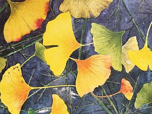 300x225 Ginkgo Leaves Paintings - Ginkgo Leaf Painting