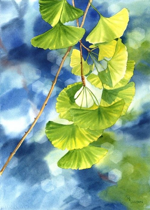 500x700 Ginkgo Leaves Against A Blue Background - Ginkgo Leaf Painting