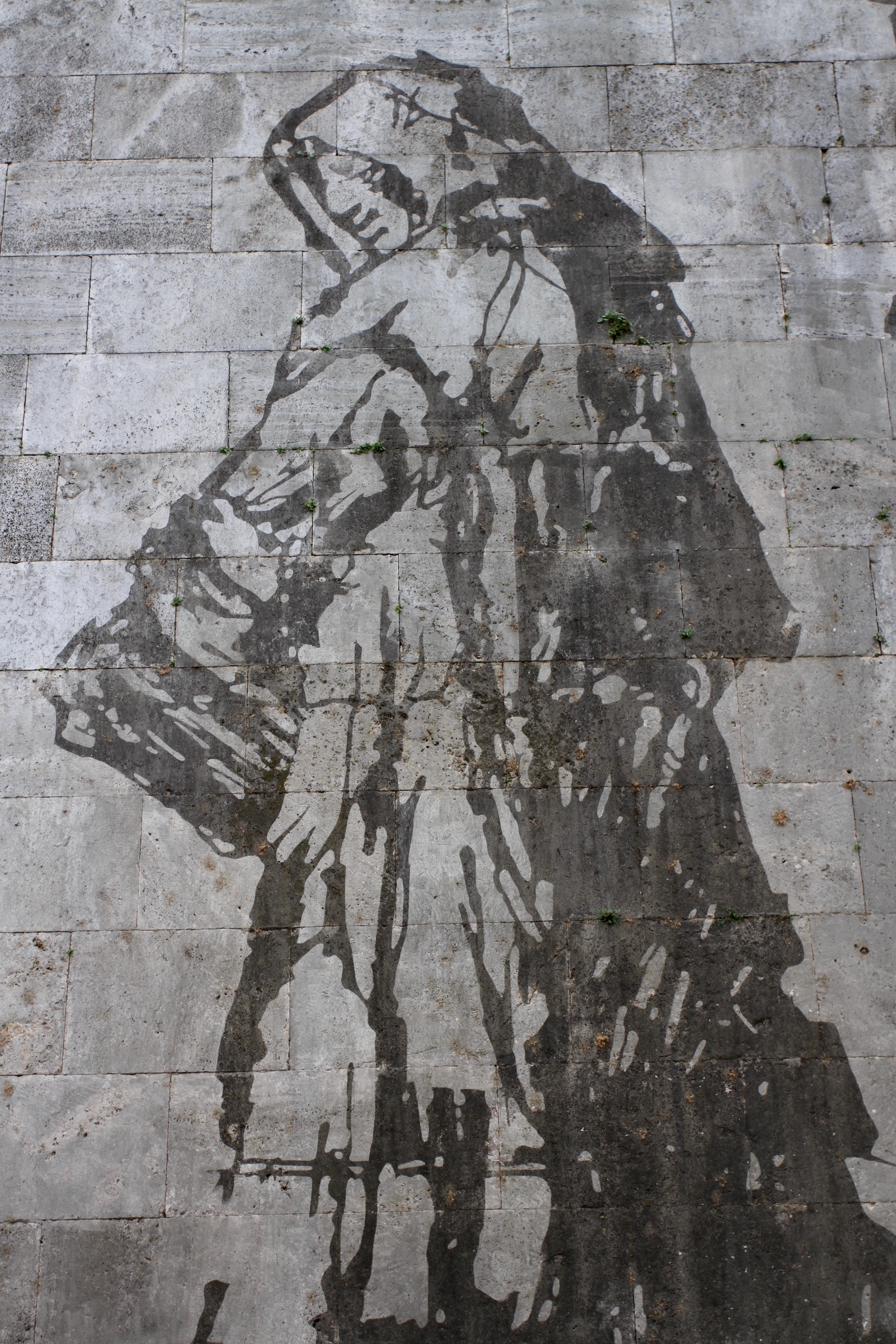 2304x3456 Giordano Bruno Notesfromcamelidcountry - Giordano Bruno Painting