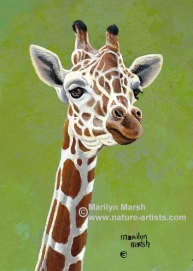 393x550 Nature Artists, Paintings Of Wildlife Art, Paintings By Marilyn - Giraffe Acrylic Painting