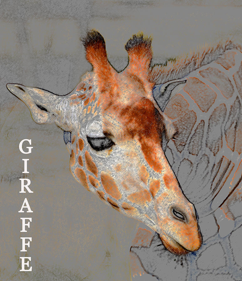 774x900 Giraffe Head With Print Painting By David Lee Thompson - Giraffe Head Painting