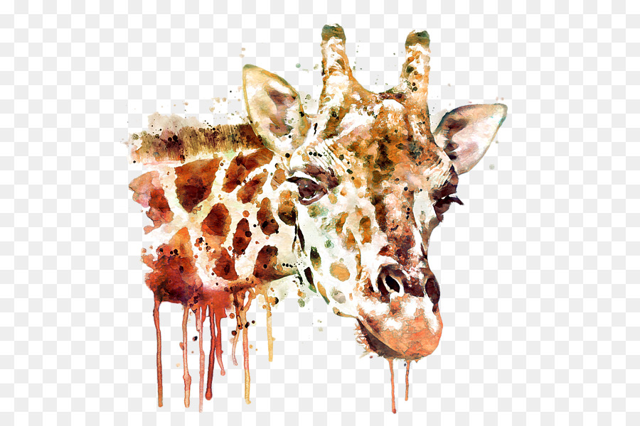 900x600 Giraffe Painting Canvas Art Drawing - Giraffe Head Painting