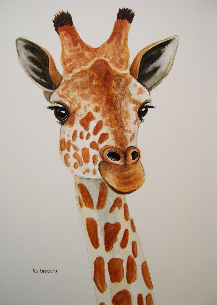 728x1024 Giraffe Portrait In Watercolour Giraffe, Watercolor - Giraffe Head Painting