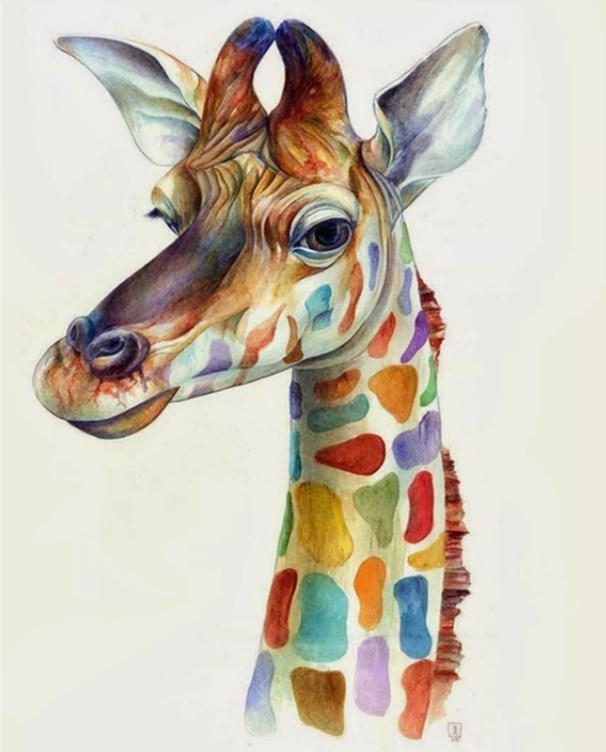 606x752 Colorful Giraffe Head Diy Painting By Numbers On Canvas Kits - Giraffe Head Painting