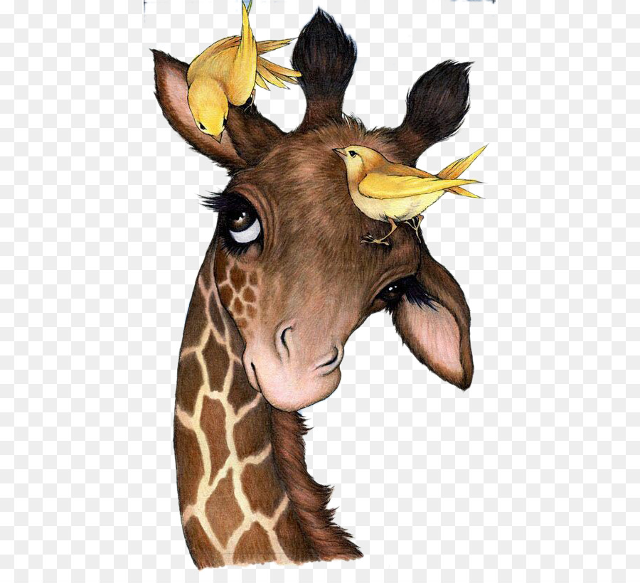 900x820 Northern Giraffe Painting Drawing Animal Canvas - Giraffe Head Painting