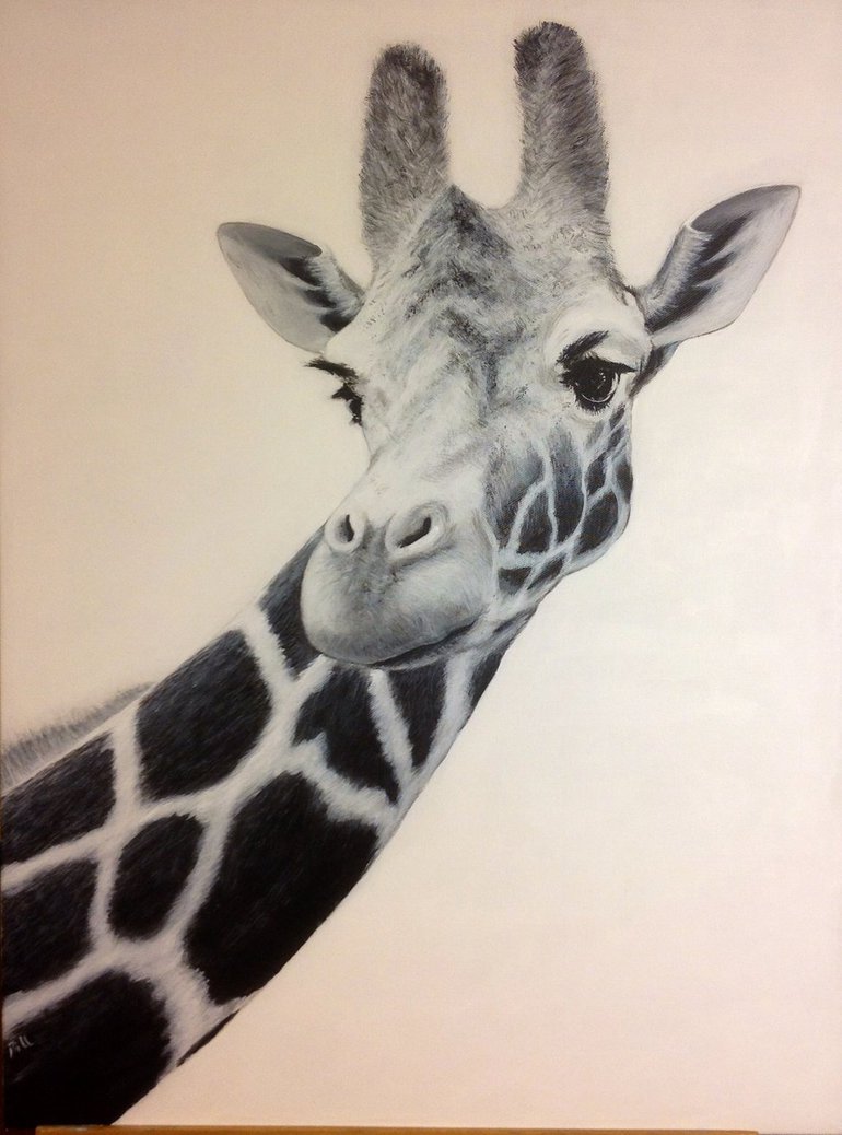 770x1038 Giraffe White Black Oil Painting By Shenyangbill - Giraffe Oil Painting