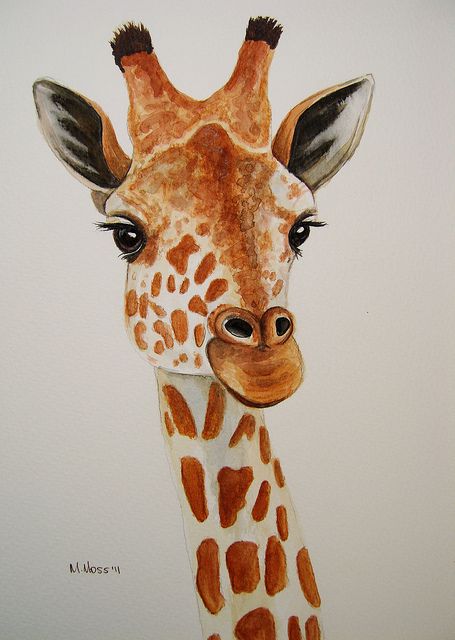 455x640 Giraffe Portrait In Watercolour Giraffe, Watercolor - Giraffe Painting