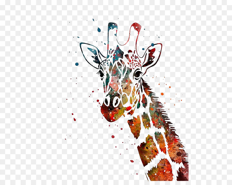900x720 Giraffe Watercolor Painting Canvas Print Art - Giraffe Painting On Canvas