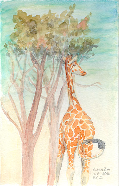 400x623 Giraffe Plein Air Watercolor Painting Rachelle Skinner - Giraffe Watercolor Painting