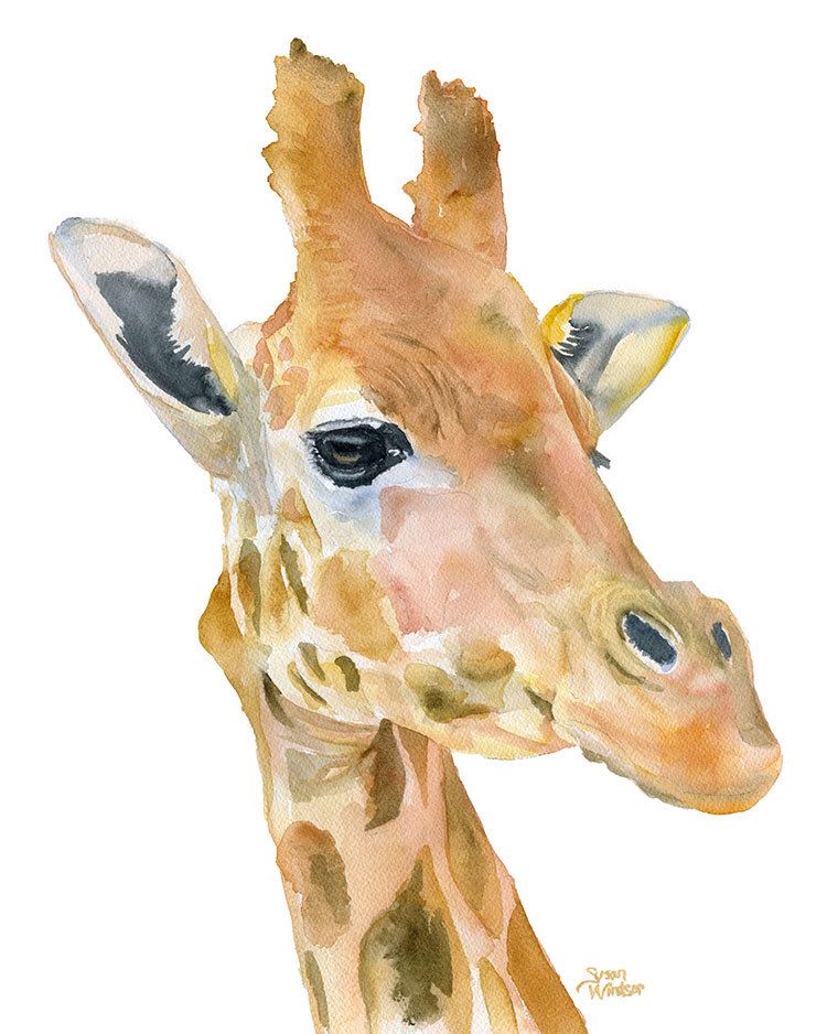 750x938 Giraffe Watercolor Painting - Giraffe Watercolor Painting