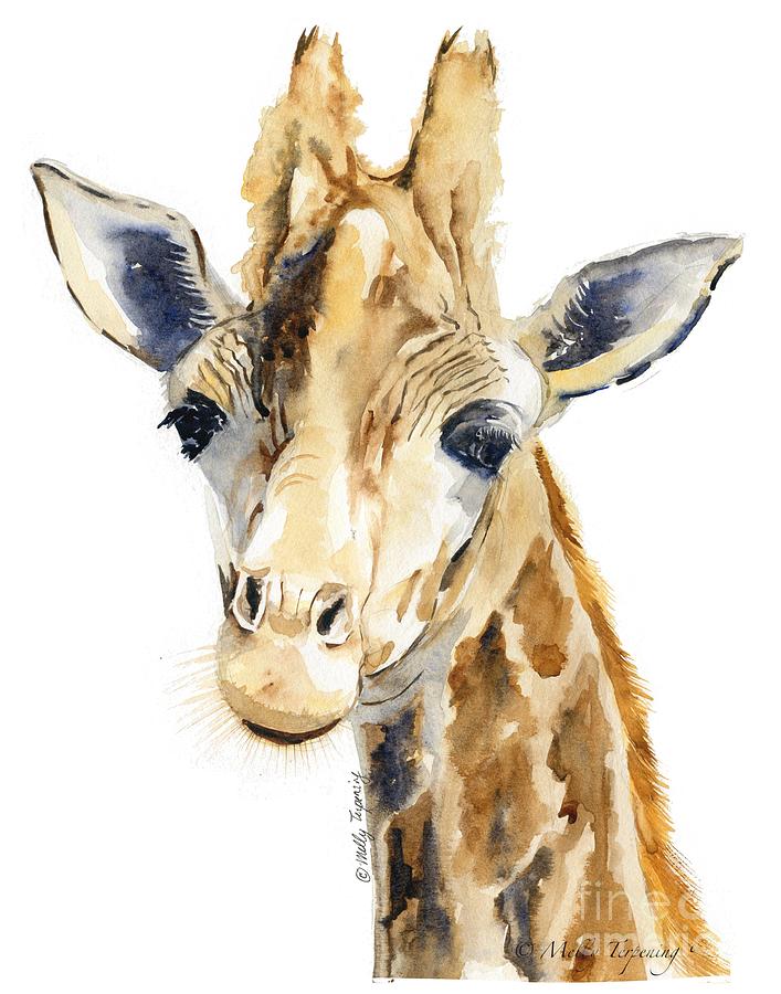 707x900 Giraffe Watercolor Painting By Melly Terpening - Giraffe Watercolor Painting