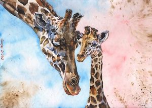 300x213 Giraffes Watercolor Print Of The Original Watercolor Painting Art - Giraffe Watercolor Painting