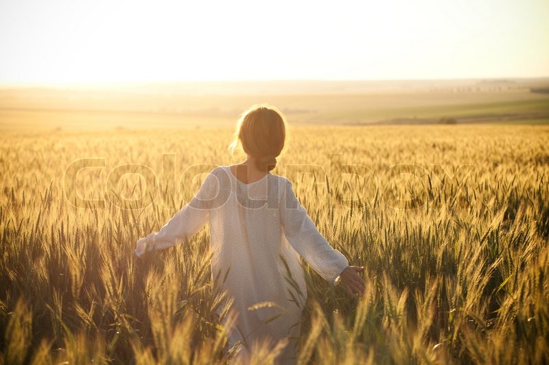 800x533 Woman In A Wheat Field Stock Photo Colourbox - Girl In Wheat Field Painting