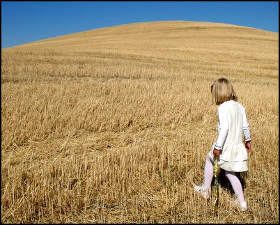 402x323 A Family Runs Through It Girl In The Wheat - Girl In Wheat Field Painting