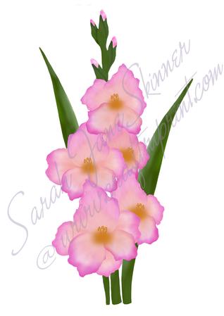 318x449 Digitally Painted Gladioli Flower - Gladiolus Flower Painting