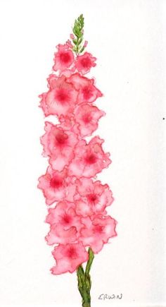 236x435 Gladiolus Flowers Gladioli, Tattoo And Flowers - Gladiolus Flower Painting