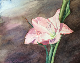 340x270 Gladiolus Painting Etsy - Gladiolus Painting