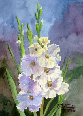 288x403 Carol Thompson's White Gladiolus Limited Edition Giclee Print Page - Gladiolus Painting