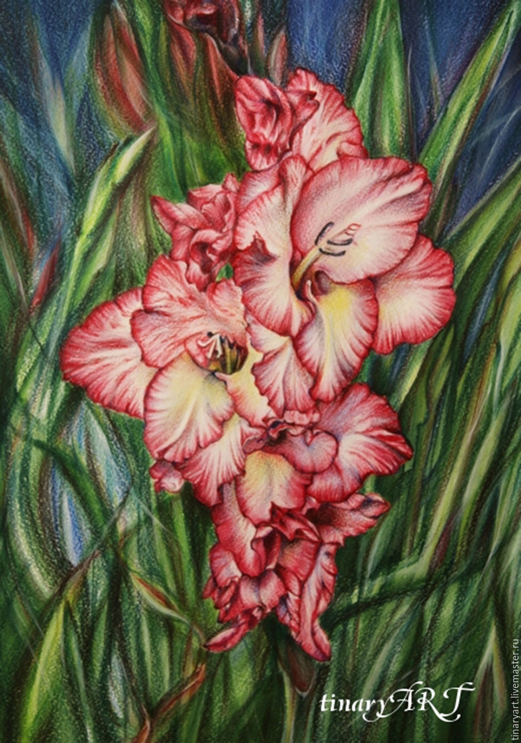 Gladiolus Painting at PaintingValley.com | Explore collection of ...