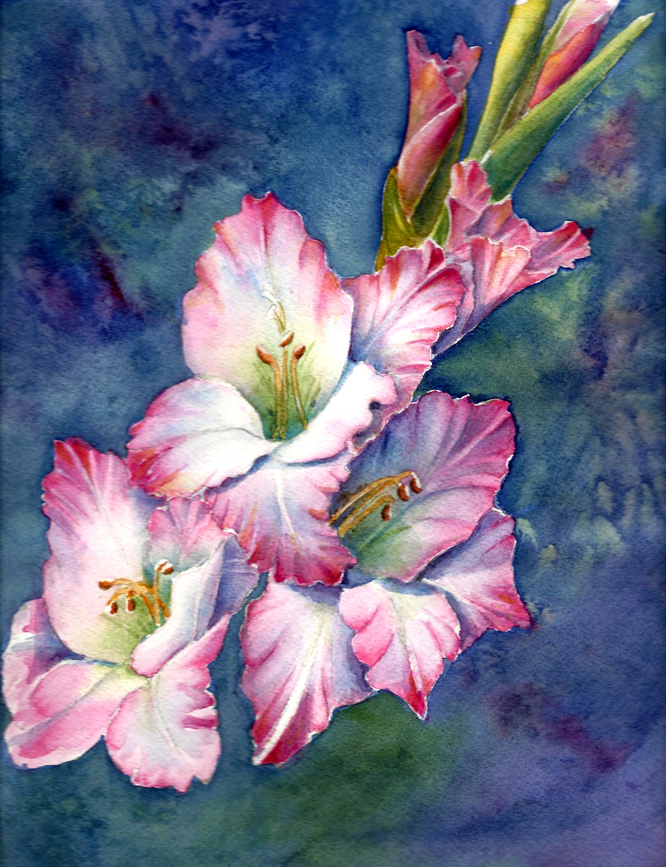 2532x3293 Garden Series Gladiolus - Gladiolus Painting