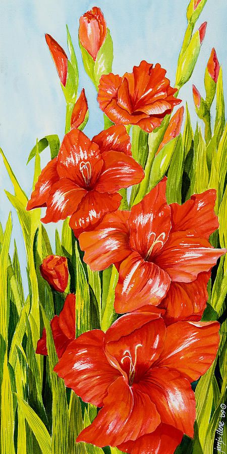 Gladiolus Painting at PaintingValley.com | Explore collection of ...