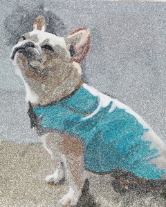 240x300 Glitter Painting Martha Stewart - Glitter Painting