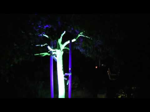 480x360 Halloween Glow In The Dark Tree - Glow In The Dark Tree Painting