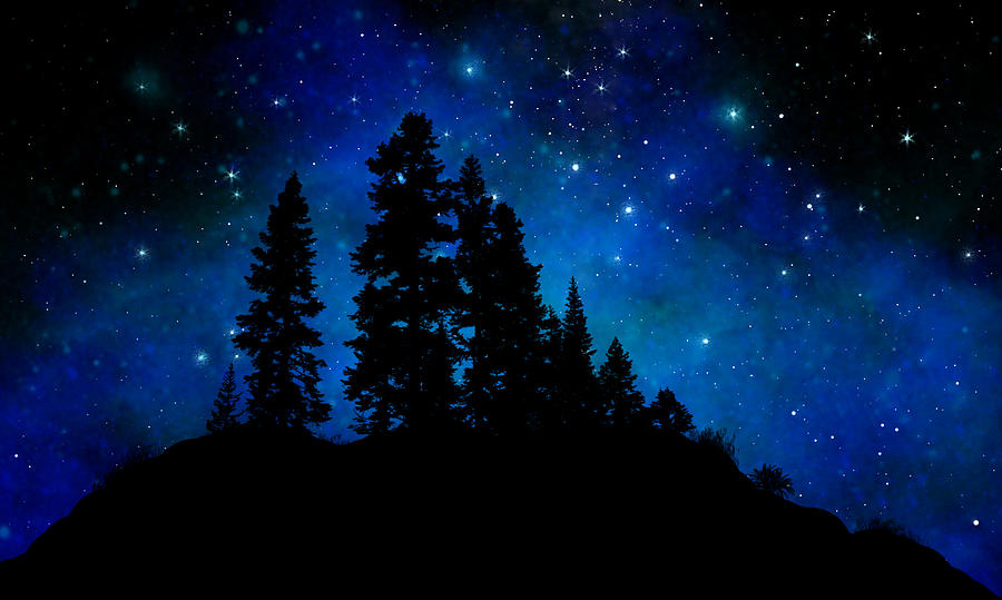 900x539 Sierra Foothills Wall Mural Painting By Frank Wilson - Glow In The Dark Tree Painting