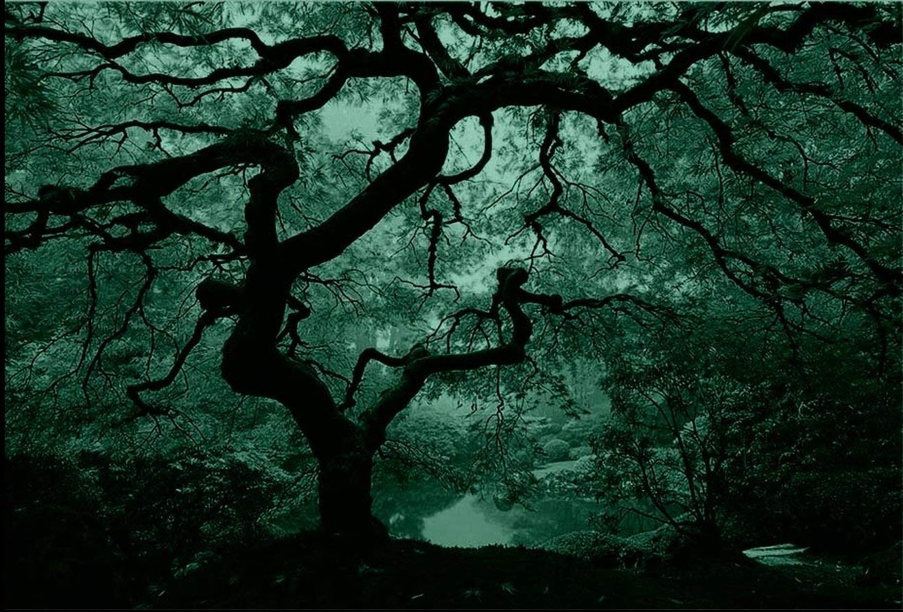 1316x892 Startonight Canvas Wall Art Maple Tree, Nature Usa Design For Home - Glow In The Dark Tree Painting