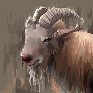 300x300 Goat Face Paintings Fine Art America - Goat Face Painting