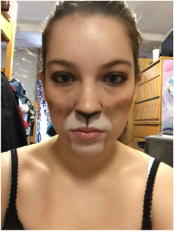 252x335 Goat Make Up - Goat Face Painting