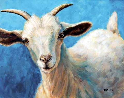480x383 Cashmere Goat Farm Art Print, Goat Art By Dottie Dracos, Baby - Goat Painting