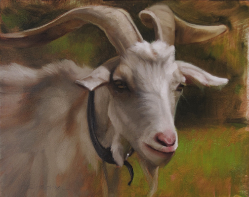 504x399 Diane Hoeptner Goat It's A Painting Of A Goat! - Goat Painting